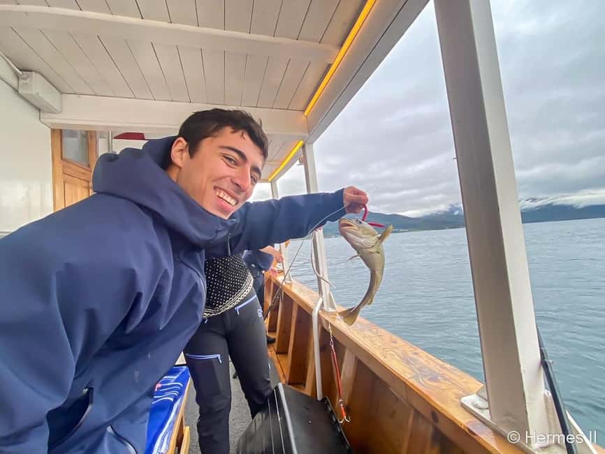Tromsø: Northern Lights Dinner Cruise - A dinner built around northern seafood