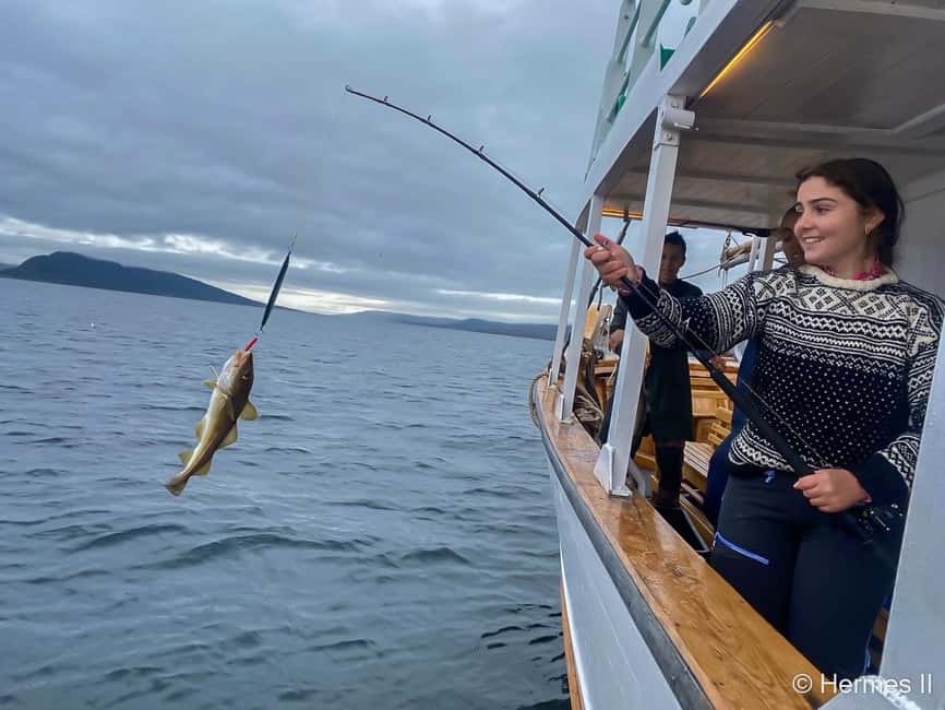 Tromsø: Northern Lights Dinner Cruise - Warmth, comfort, and the open deck