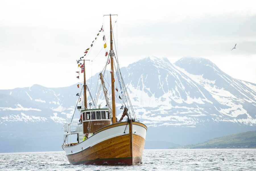 Tromsø: Northern Lights Dinner Cruise - What the praise tells you about the service
