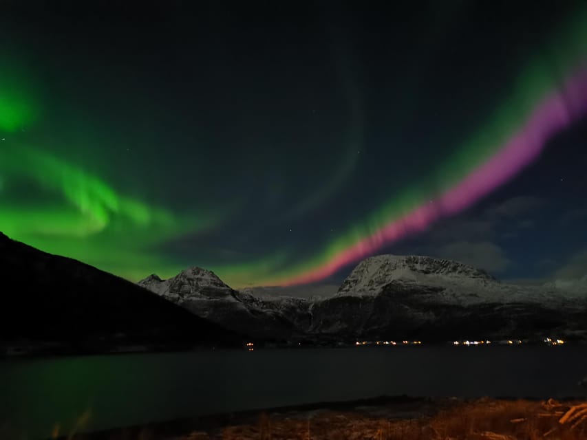 Tromsø: Northern Lights Hunt. Local Guide and Basecamp. - What you learn while waiting for the aurora