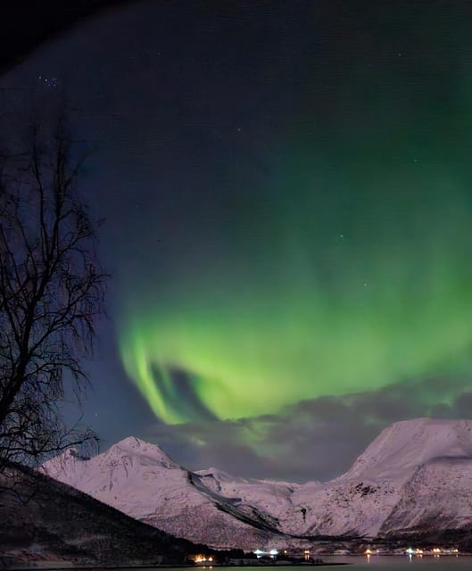 Tromsø: Northern Lights Hunt. Local Guide and Basecamp. - Meeting at Magic Ice Bar in Tromsø