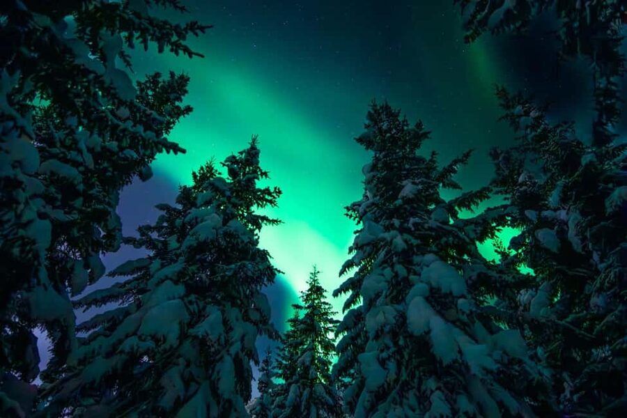 Tromsø: Northern Lights Hunt with a Professional Photographer in Spanish - Leaving Tromsø for darker skies
