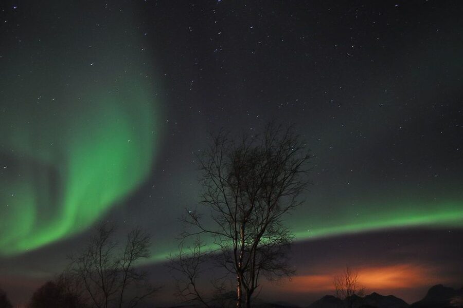 Tromsø: Northern Lights Husky Visit with Traditional Dinner - Warming up inside the lavvo
