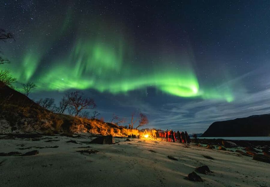 Tromsø: Northern Lights in a Minivan with Free Photos and a Hot Meal - The minibus chase across Troms