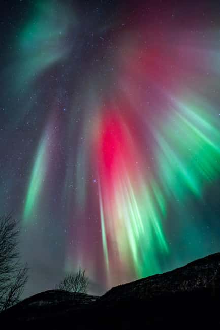 Tromsø: Northern Lights in a Minivan with Free Photos and a Hot Meal - Is $213 a fair price?