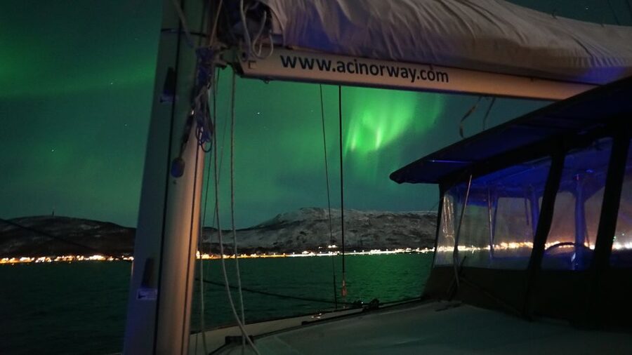 Tromsø: Northern Lights Luxury Catamaran Cruise - Searching the Norwegian waters for the Aurora