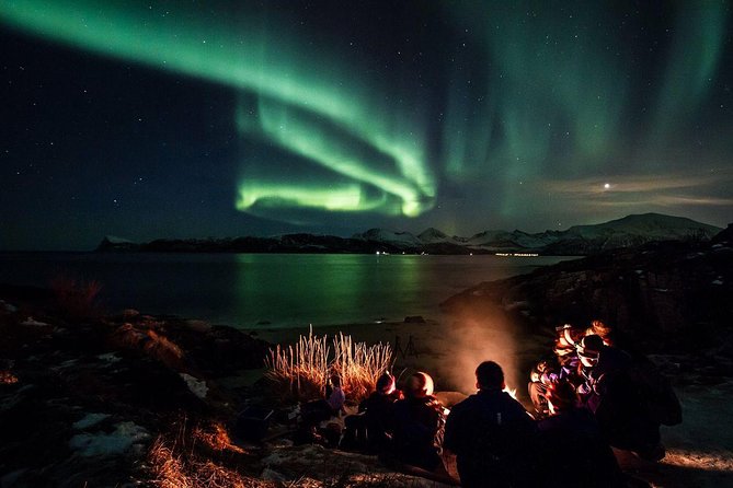 Tromso Northern Lights Minibus Chase Small Group Tour with Photos - Starting at Scandic Ishavshotel in Tromsø