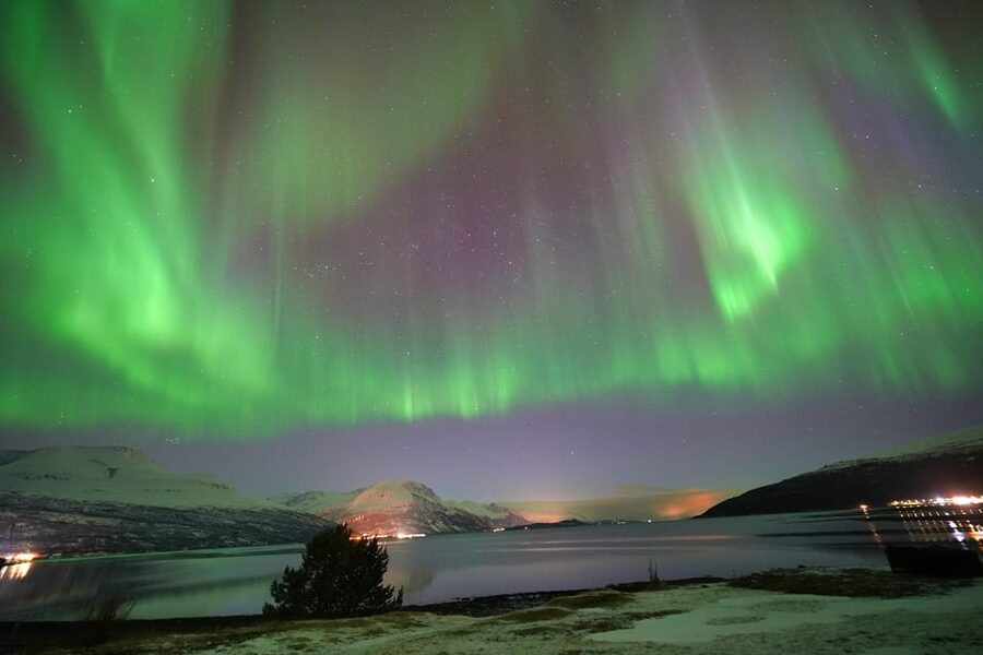Tromso: Northern Lights Minibus Tour with Campfire - Key points to know before booking