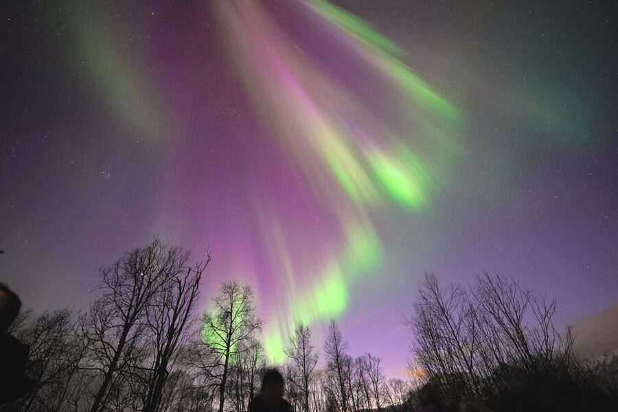 Tromso: Northern Lights Minibus Tour with Campfire - Why this Tromsø aurora trip works well