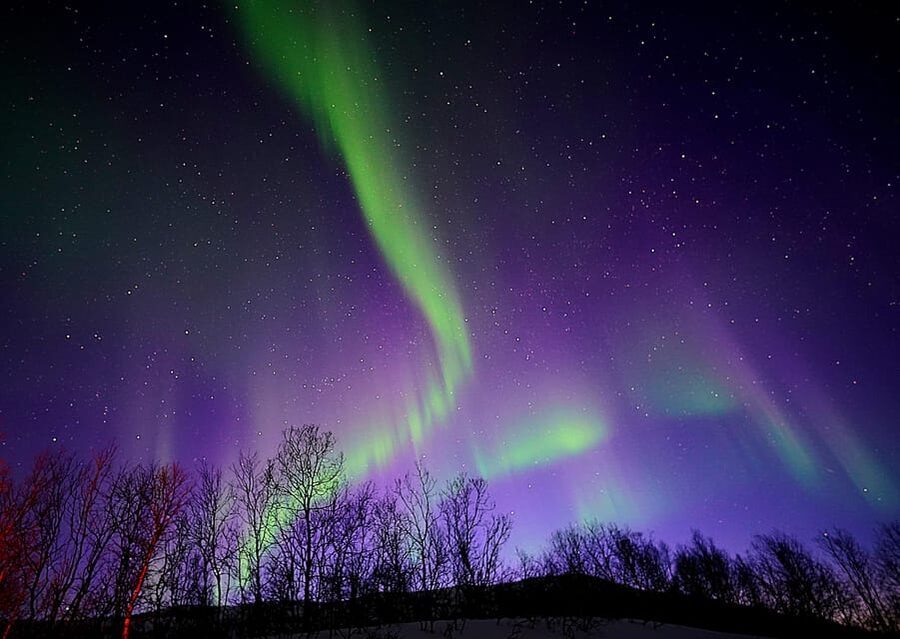 Tromso: Northern Lights Minibus Tour with Campfire - The first drive beyond Tromsø’s city lights
