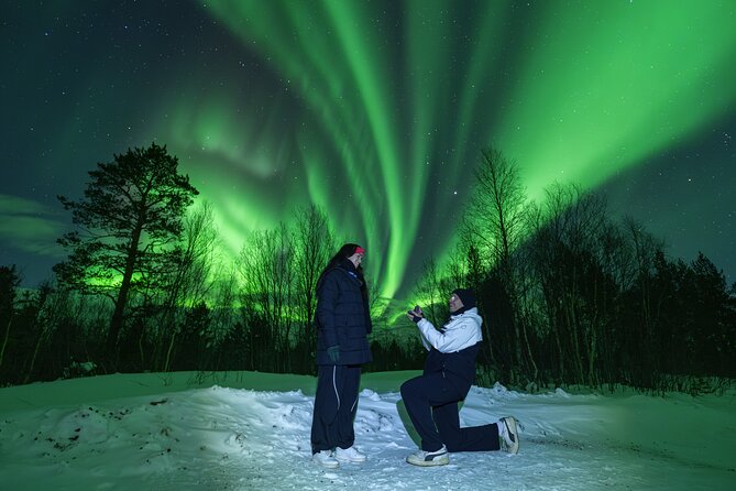 Tromsø: Northern Lights Minibus Tour with Expert Guides - Key points at a glance