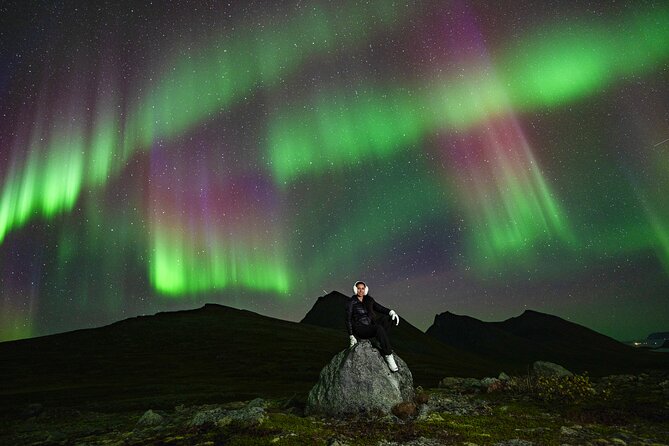 Tromsø: Northern Lights Minibus Tour with Expert Guides - Chasing the aurora from Tromsø at 7 p.m.