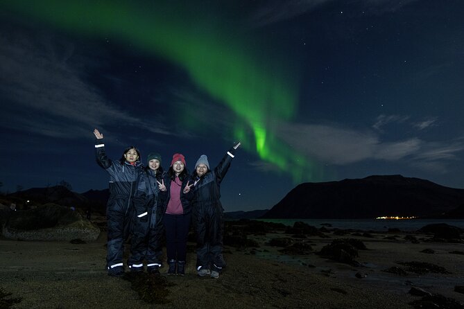 Tromsø: Northern Lights Minibus Tour with Expert Guides - What the Northern Lights chase really involves