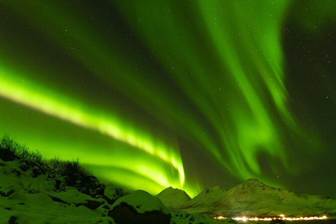 Tromsø: Northern Lights Minibus Tour with Expert Guides - The photo service and what to expect