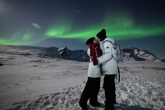 Tromsø: Northern Lights Minibus Tour with Expert Guides - A campfire night on the Tromsø coast