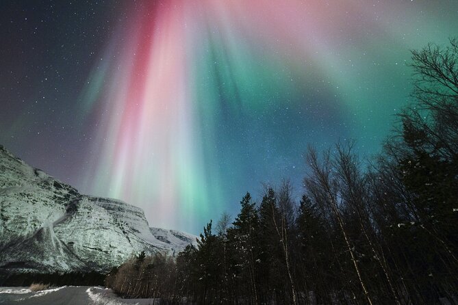 Tromsø: Northern Lights Minibus Tour with Expert Guides - Is $139.98 a fair price?