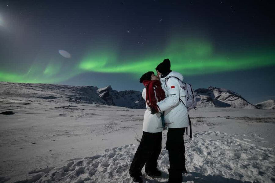 Tromsø: Northern Lights Minibus Tour with Local Experts - Quick reasons to consider this tour