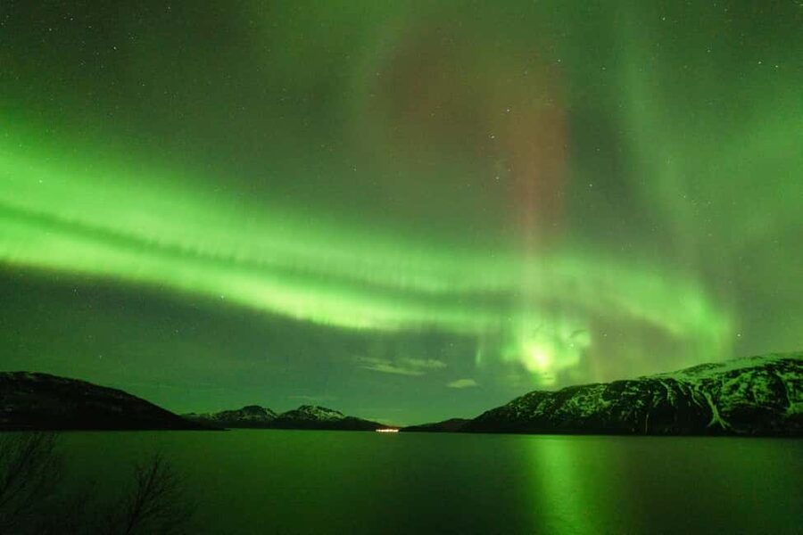 Tromsø: Northern Lights Minibus Tour with Local Experts - The drive into the Arctic night