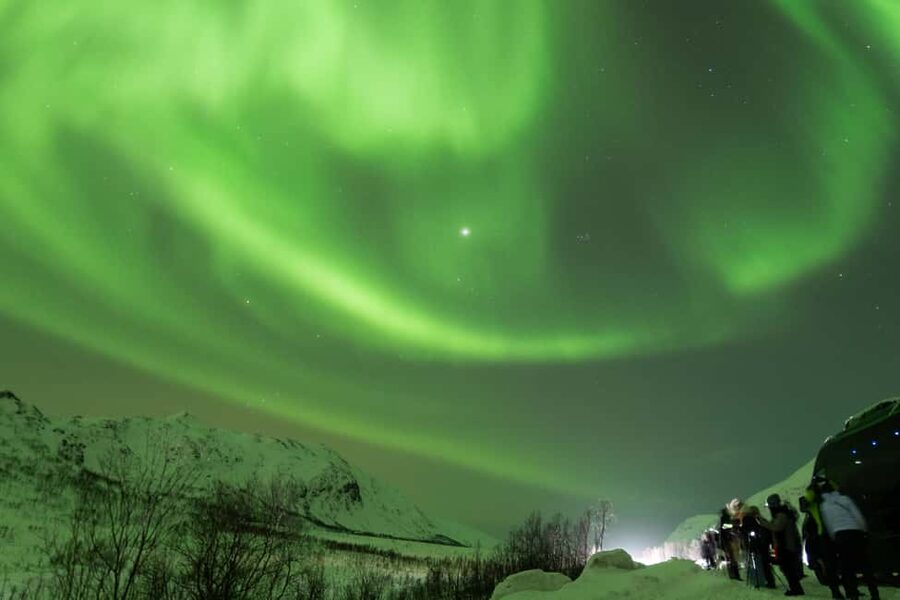 Tromsø: Northern Lights Minibus Tour with Local Experts - Photos under the Northern Lights