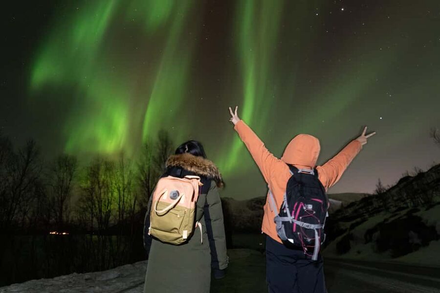 Tromsø: Northern Lights Minibus Tour with Local Experts - What the $116 price buys you