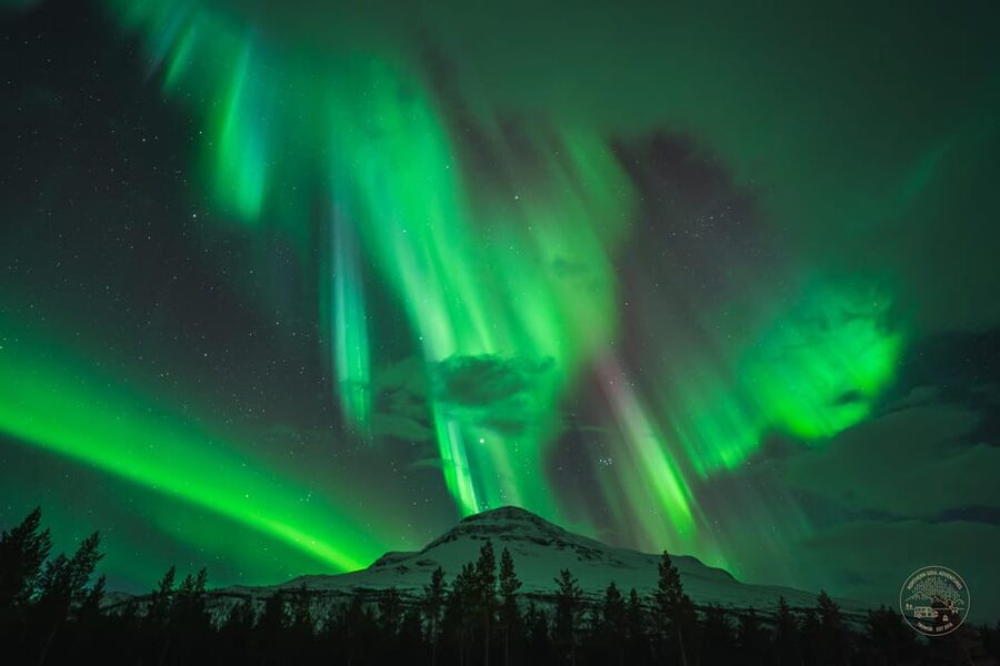 Tromsø: Northern Lights Photography Small-Group Tour - Key points to know before booking