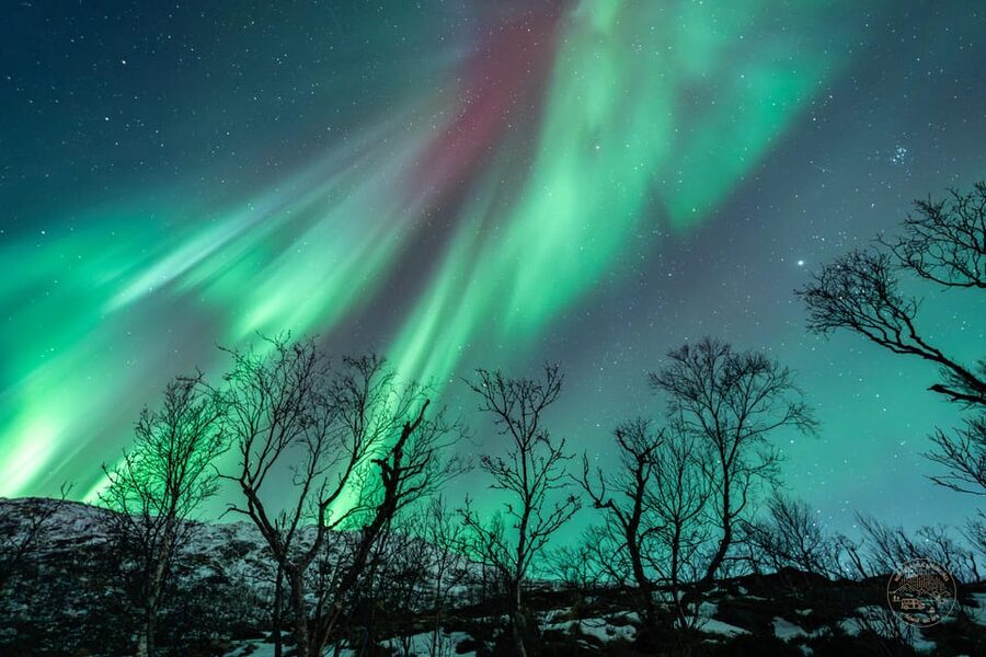 Tromsø: Northern Lights Photography Small-Group Tour - Starting in central Tromsø and chasing clear skies