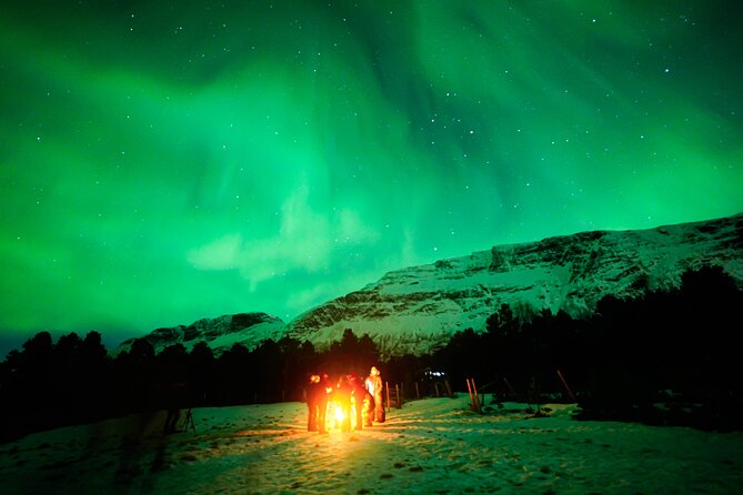 TROMSO | NORTHERN LIGHTS PIONEERS | Photos included - The real tour is the search