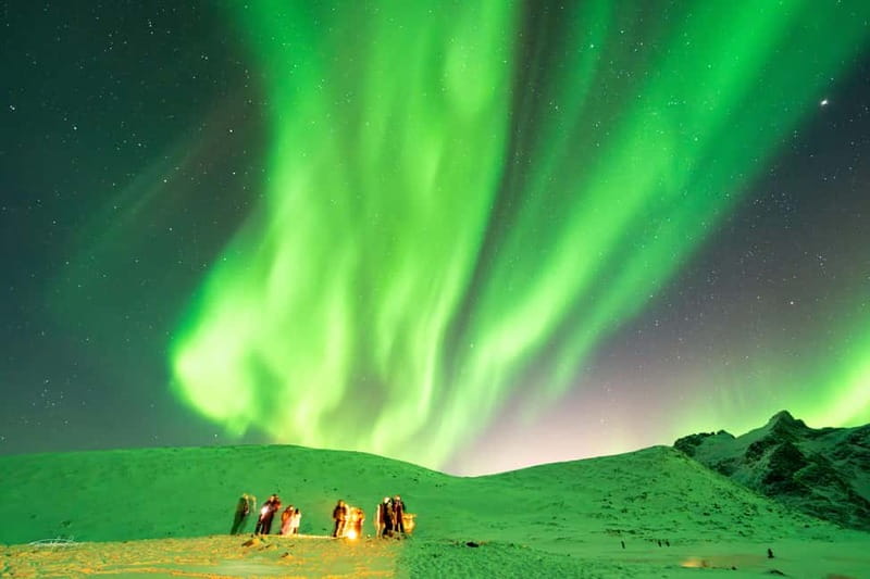 Tromsø: Northern Lights Safari with Expert Guides and Photos - Watching the Aurora and getting your photo