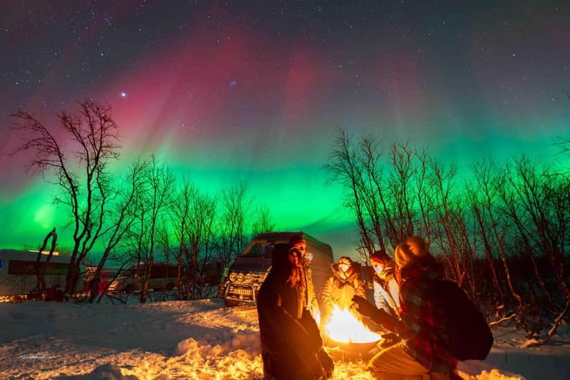Tromsø: Northern Lights Safari with Expert Guides and Photos - What the $61 price really buys