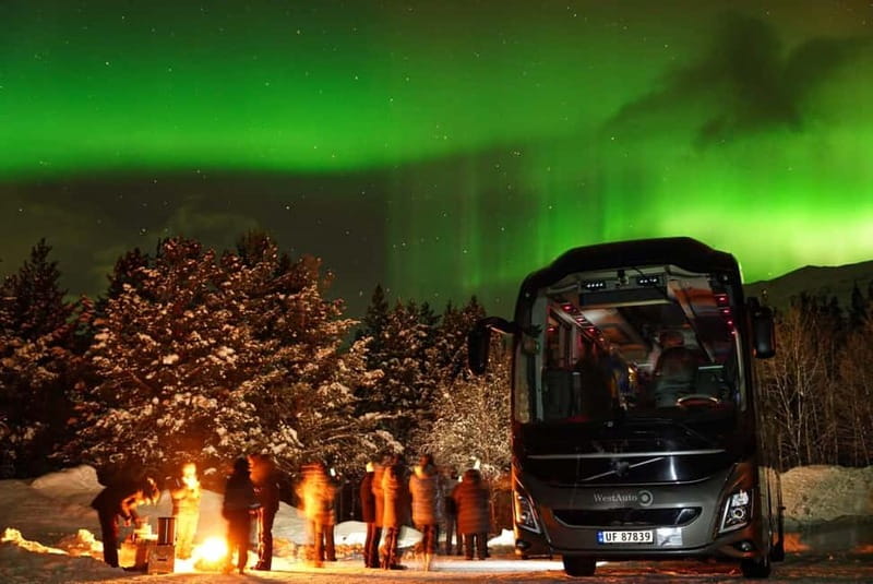 Tromsø: Northern Lights Safari with Expert Guides and Photos - Practical tips for a better night
