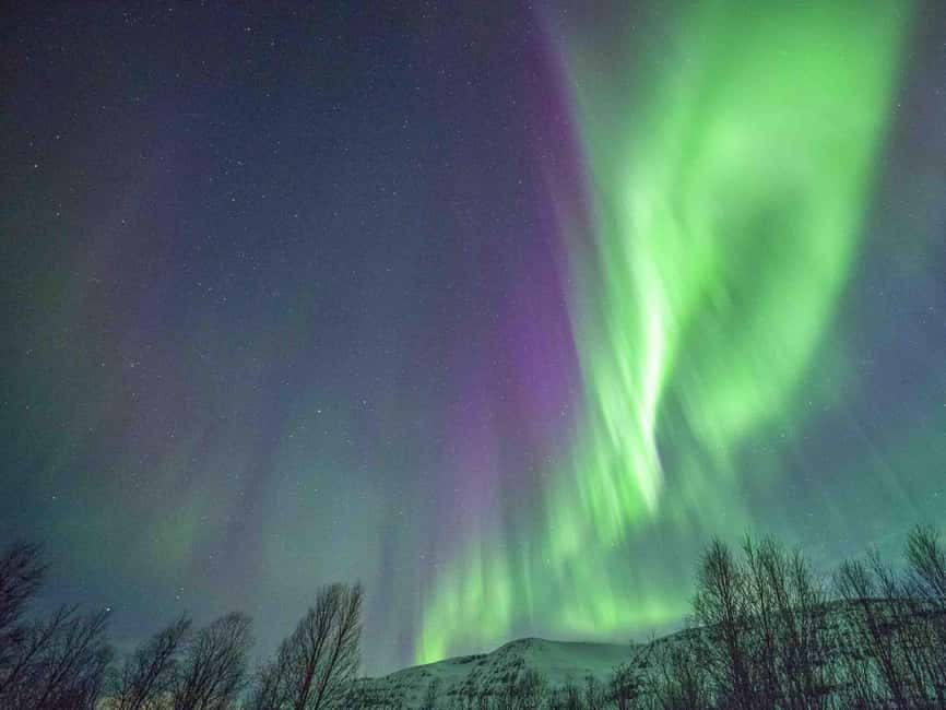 Tromsø: Northern Lights Tour in Glass Minibus with Dinner - What this Tromsø aurora tour is really like