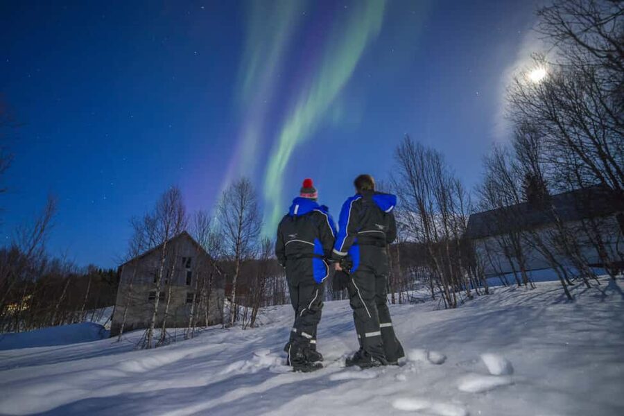 Tromsø: Northern Lights Tour in Glass Minibus with Dinner - The main five-hour stop and the value of staying put
