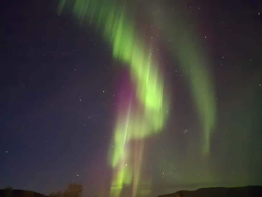 Tromsø: Northern Lights Tour in Glass Minibus with Dinner - Dinner, hot drinks, and marshmallows by the fire