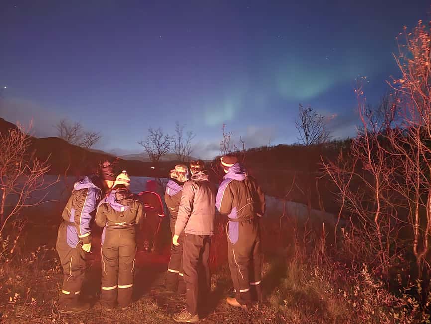 Tromsø: Northern Lights Tour in Glass Minibus with Dinner - Warm suits, boots, and the reality of Arctic cold