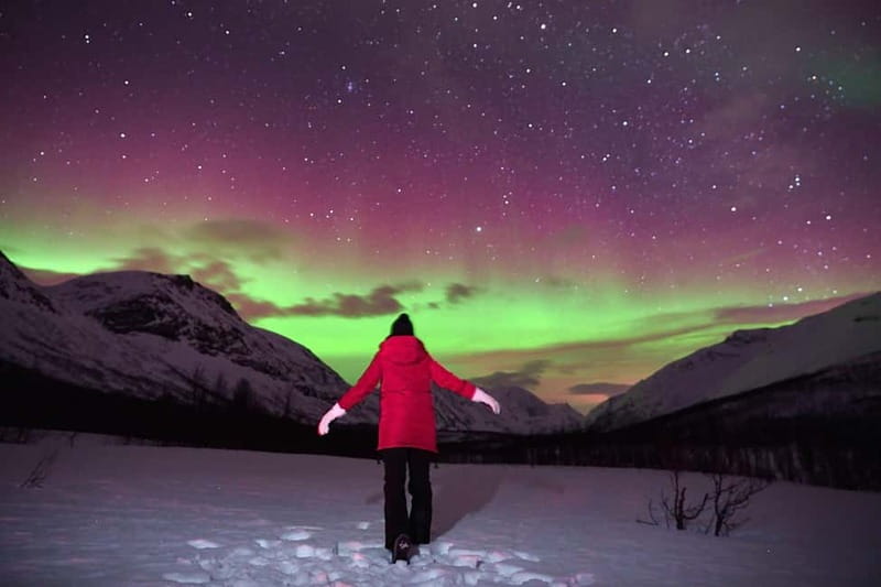 Tromsø: Northern Lights Tour (Max 8) Pickup + Finland - Why the small van matters in Arctic winter