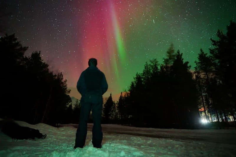 Tromsø: Northern Lights Tour (Max 8) Pickup + Finland - Crossing into Finnish Lapland