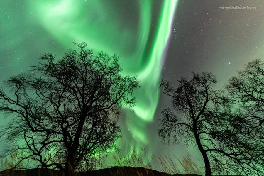 Tromsø: Northern Lights Tour w/Photo, Suits and Local Guide - What happens when the lights appear