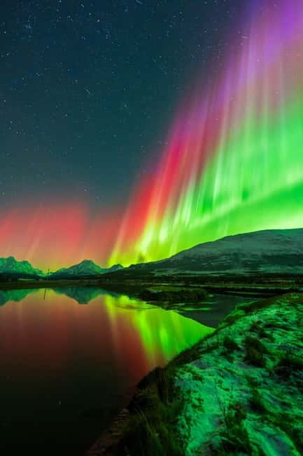 Tromsø: Northern Lights Tour with Campfire - Key points before you book