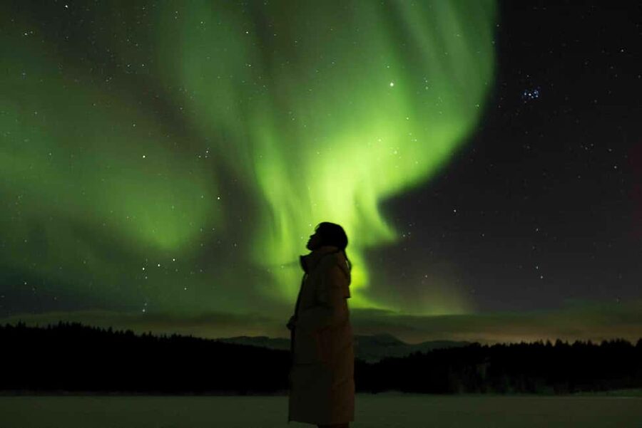 Tromsø: Northern Lights Tour with Dinner and Native Guide - Why this Tromsø aurora tour feels different