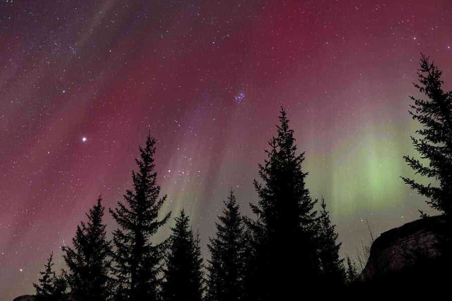 Tromsø: Northern Lights Tour with Dinner and Native Guide - Meeting at Vestregata 51 at 6 p.m.