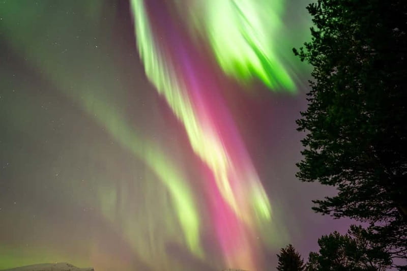 Tromsø: Northern Lights Tour with Hot Drinks and Snacks - Waiting for the aurora beside a fire
