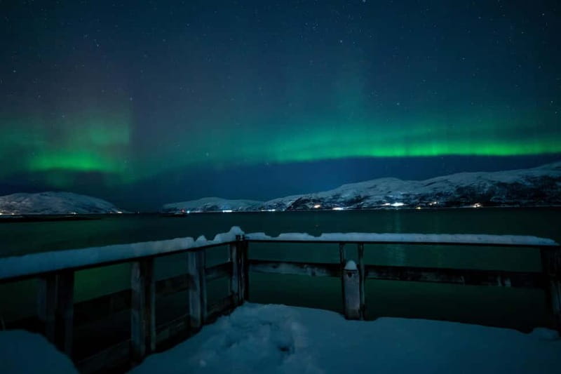 Tromsø: Northern Lights Tour with Hot Drinks and Snacks - The cold is not a minor detail