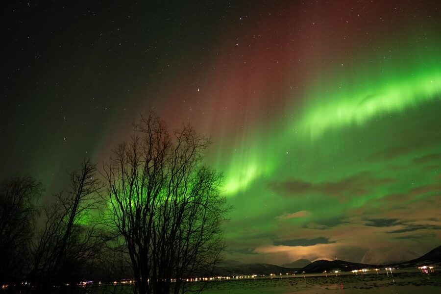 Tromsø: Northern Lights Tour with Local Guide and Photos - Timing, drop-off, and the late return