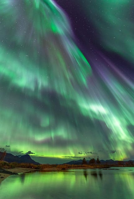 Tromsø: Northern Lights Tour with Local Guide and Photos - Meeting in central Tromsø