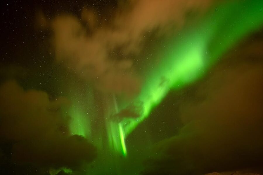 Tromsø: Northern Lights Tour with Local Guide and Photos - What the $162 price buys you