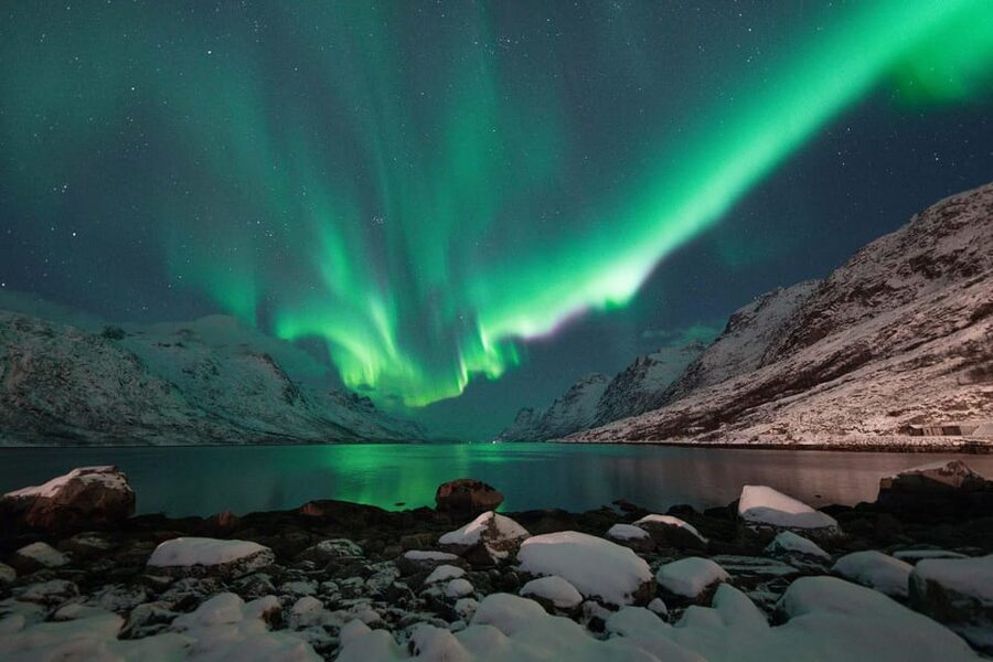Tromsø: Northern Lights Tour with Local Guide and Photos - The Mercedes Sprinter makes the long chase easier