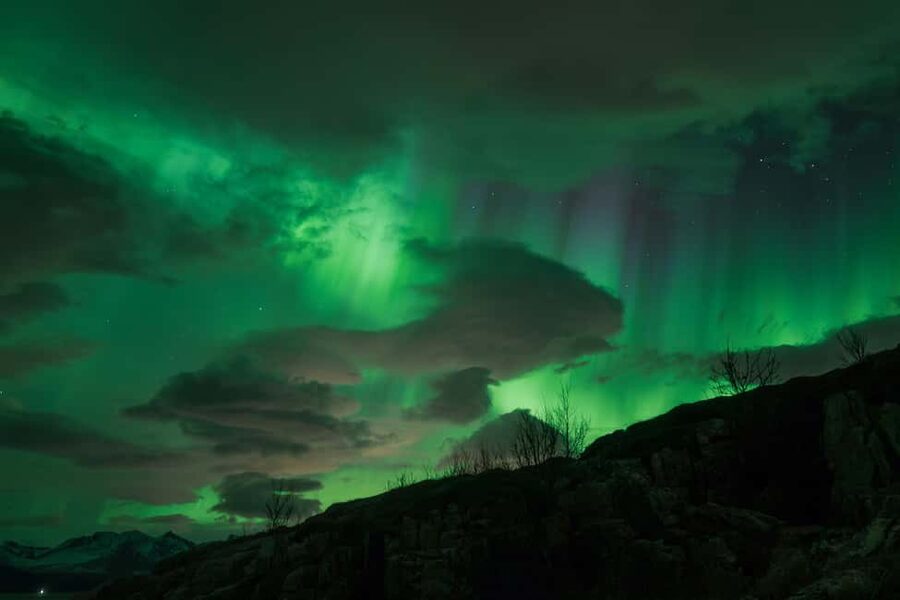 Tromsø: Northern Lights Tour with Local Stories & Photos - Photography help and the included portraits