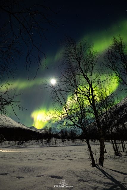 Tromso: Northern Lights Tour with Photographer - Who will enjoy this tour most?