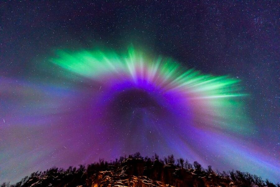 Tromsø: Northern Lights Tour with Photos, Hot Meal & Drinks - A minibus chase guided by live sky cameras