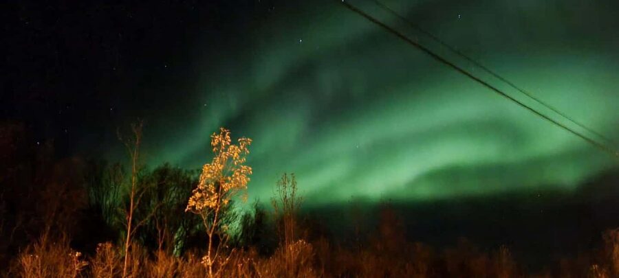 Tromsø: Northern Lights Tour with Photos & Snacks - Five useful things to know before you book